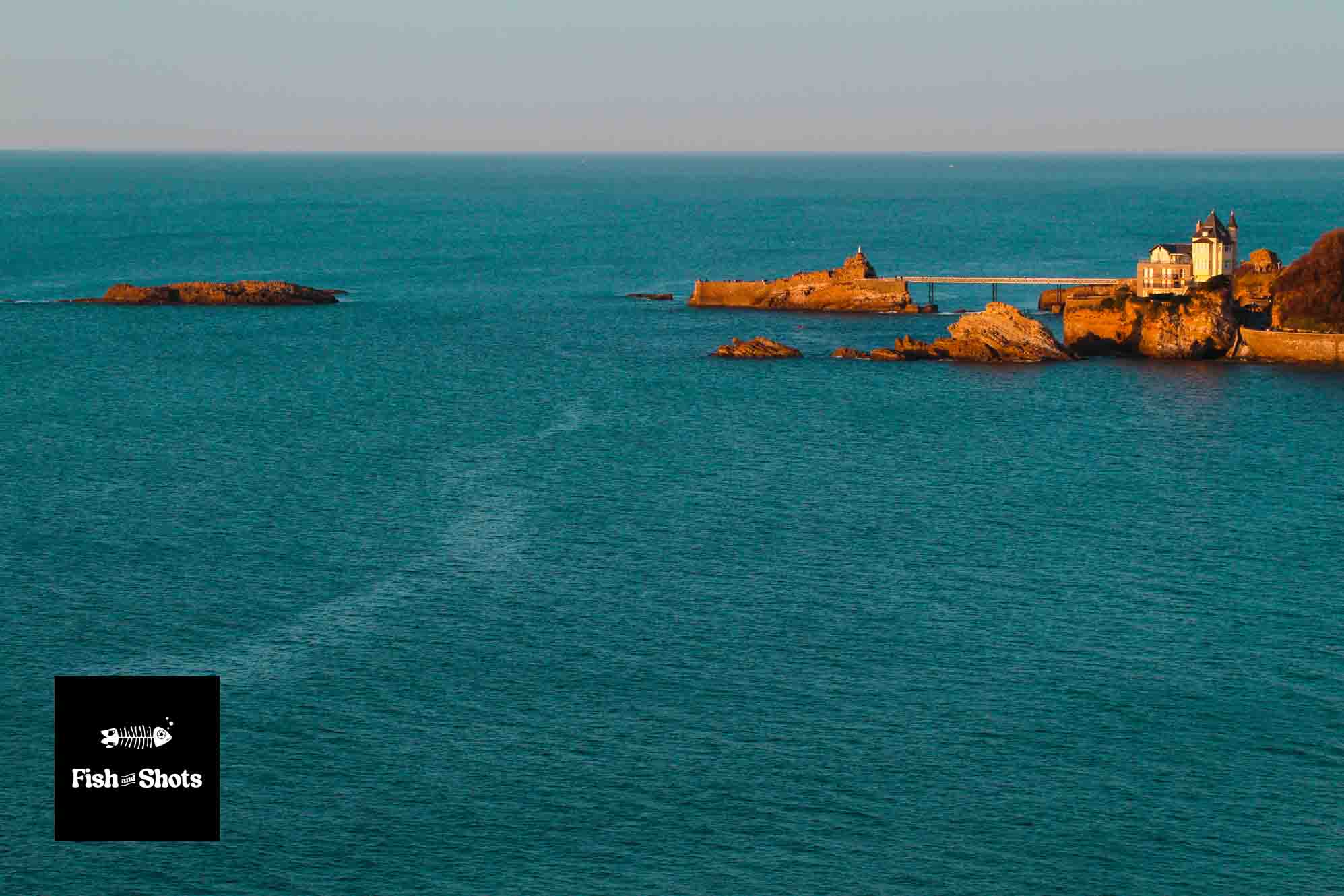 La Cote des basques, par Fish & Shots (Jean-Luc Macharé Lavini)