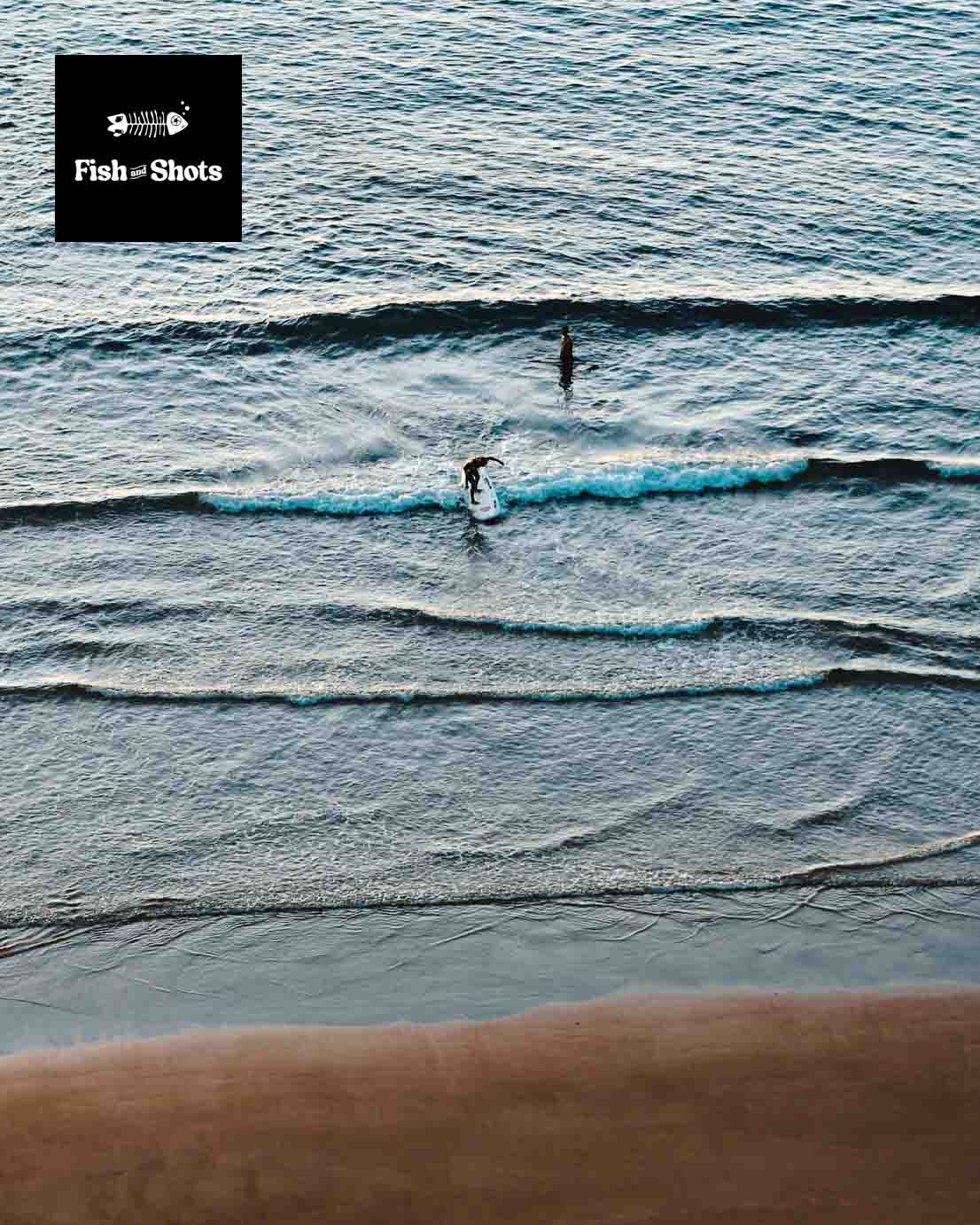 La Cote des basques, par Fish & Shots (Jean-Luc Macharé Lavini)
